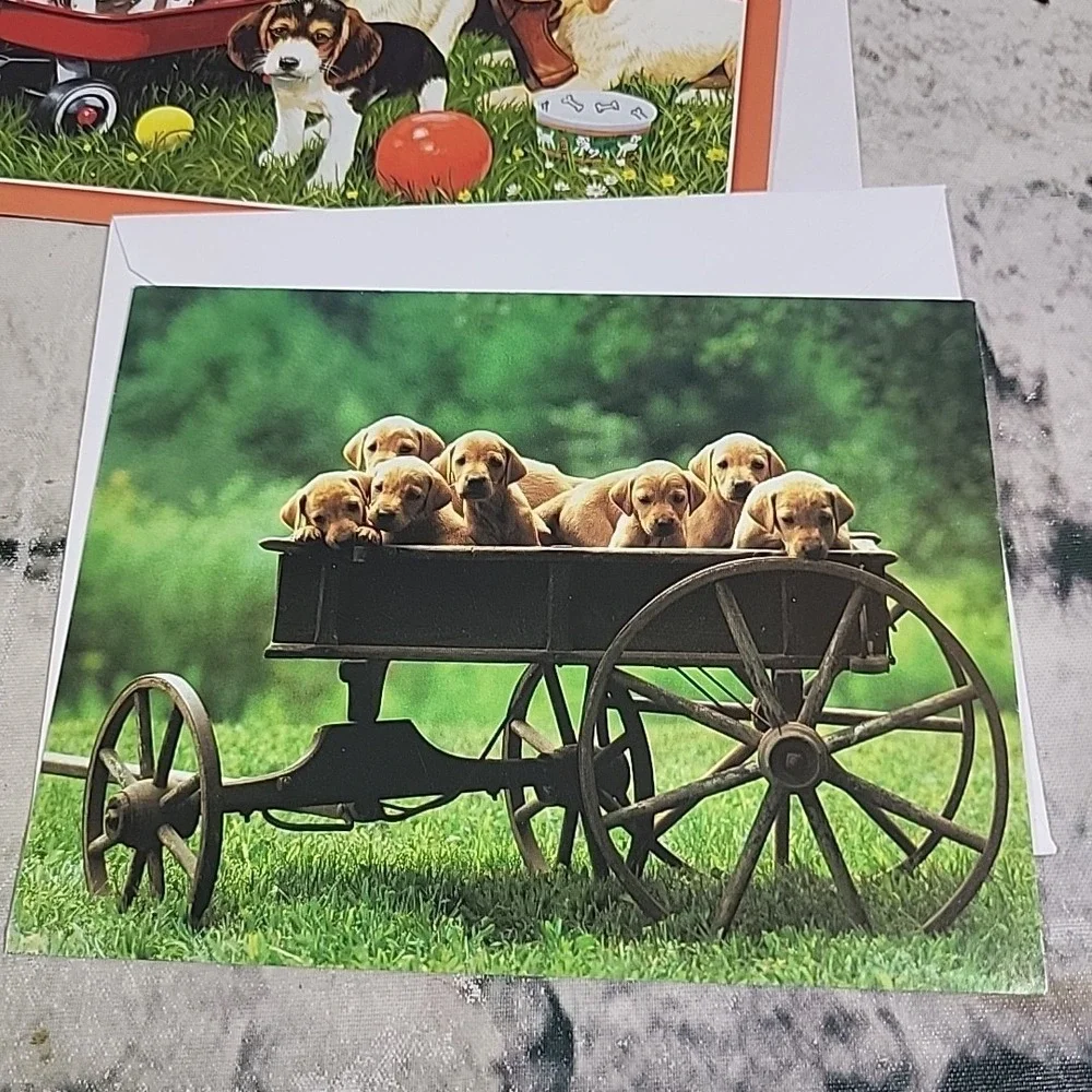 Notecards Blank Inside Greeting Cards Lot Of 7 Pets Puppies Dogs Textured